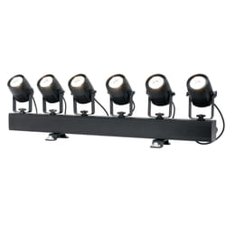 Adj SAB310 Adapté à une utilisation à l'intérieur Projecteur Disco Noir