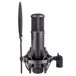 sE Electronics sE2200 Noir Microphone de studio