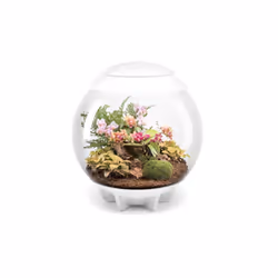 Oase - terrarium décoratif 60l avec cadre blanc - air 60 white