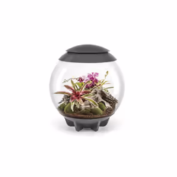 Oase - terrarium décoratif 60l avec cadre gris - air 60 grey