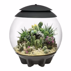 Un terrarium automatisé biOrb Air 30 grey de Oase qui offre un entretien des plantes sans tracas. Peut être rempli de plantes ...