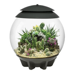 Terrarium automatisé 30l gris - Oase - Air30grey