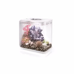 Oase - aquarium 15l led blanc - flow 15 mcr white