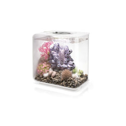 Oase - aquarium 15l led blanc - flow 15 mcr white