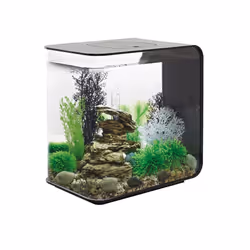 Oase - aquarium décoratif 30l led avec cadre noir - flow 30 led black