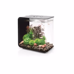 Oase - aquarium décoratif 30l mcr avec cadre noir - flow30mcr black