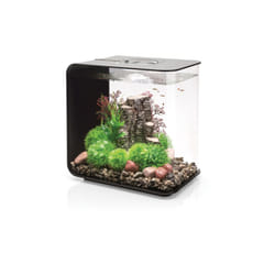 Oase - aquarium décoratif 30l mcr avec cadre noir - flow30mcr black