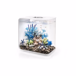Oase - aquarium décoratif 30l mcr avec cadre blanc - flow30mcr white