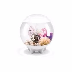 Oase - aquarium décoratif 15l blanc - halo 15 mcr white