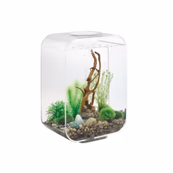 Oase - aquarium 15l led transparent - life 15 led transparent