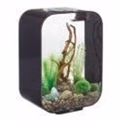 Oase - aquarium décoratif 15l avec cadre noir - life 15 mcr black