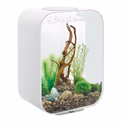 Oase - aquarium décoratif 15l avec cadre blanc - life 15 mcr white