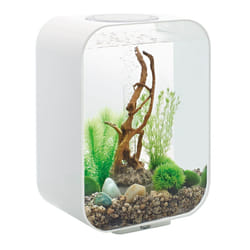 Oase - aquarium décoratif 15l avec cadre blanc - life 15 mcr white