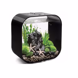 Oase - aquarium 30l contours noir - life 30mcr black
