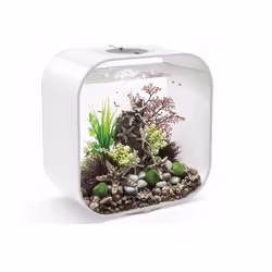 Oase - aquarium 30l contours blanc - life 30mcr white