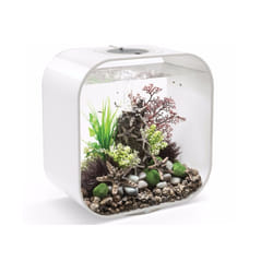 Oase - aquarium 30l contours blanc - life 30mcr white