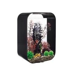 OASE Aquarium Life 60 MCR black - Noir