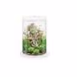 Aquarium décoratif Oase 35l avec cadre blanc - Tube 30 LED white