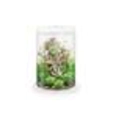 Aquarium décoratif Oase 35l avec cadre blanc - Tube 30 LED white
