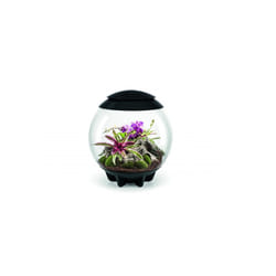 Oase - terrarium décoratif 60l avec cadre noir - air 60 black