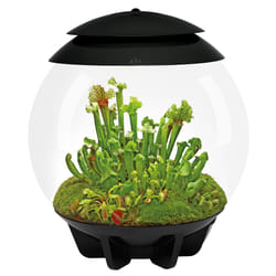 Oase - terrarium automatisé noir - air 30 black