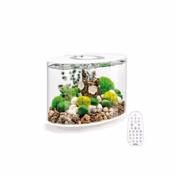 Oase - aquarium long 15l contours blanc - loop 15 mcr white