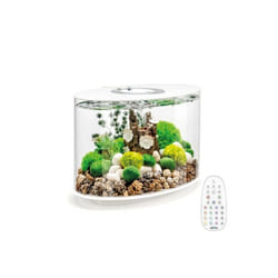 Oase - aquarium long 15l contours blanc - loop 15 mcr white