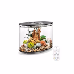 Oase - aquarium long 15l contours noir - loop 15 mcr black