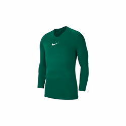 Maillot Nike Park Dry Homme