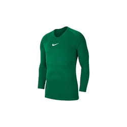 Maillot Nike Park Dry Homme
