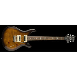 PRS Guitars SE Custom 24 Guitare électrique Solide 6 cordes Noir, Marron, Bois
