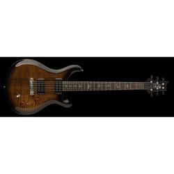 PRS Guitars SE Paul's Guitar Guitare électrique Solide 6 cordes Marron