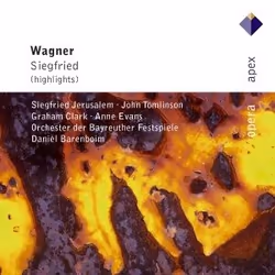 Warner Music Daniel Barenboim - Wagner: Siegfried, CD, Classique, CD, Daniel Barenboim, Support physique, Adulte, 1 disques