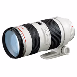Canon EF 70-200mm f/2.8L USM, 18/15, 70 - 200 mm, Auto focus
