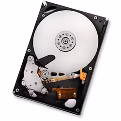Western Digital Ultrastar A7K2000, 1TB, 3.5", 1 To, 7200 tr/min