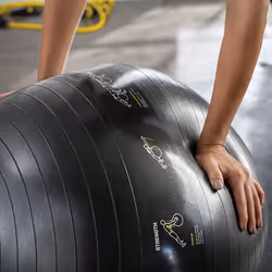 SKLZ Gymnastikball ballon d'exercice 65 cm Noir Pleine taille
