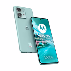 Motorola Edge 40 Neo, 16,6 cm (6.55"), 12 Go, 256 Go, 50 MP, Android 13, Vert