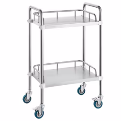 Chariot de Laboratoire en Acier Inoxydable-VEVOR- Chariot Médical 2 Couches-Charge 100 kg-pour Labo Clinique Salon Hôpital