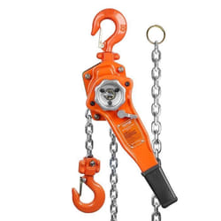VEVOR Palan à Levier à Chaîne à Cliquet Manuel G80 Capacité Levage 075T 14m