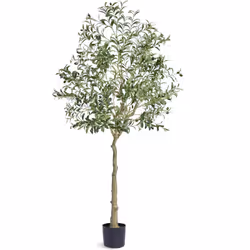 Arbre Artificiel de Qualité Supérieure : Verdure Parfaite pour Votre Maison Notre arbre artificiel est incroyablement réalist ...