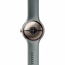 Google Pixel Watch 2 AMOLED 41 mm Or Wifi GPS - Vue supplémentaire 4