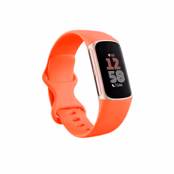 Fitbit Charge 6 AMOLED Bracelet connecté Corail, Or