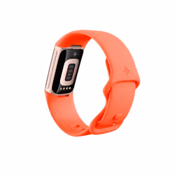 Fitbit Charge 6 AMOLED Bracelet connecté Corail, Or