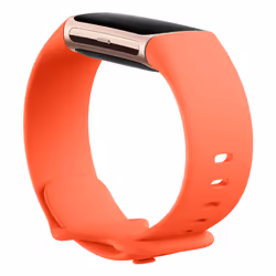 Fitbit Charge 6 AMOLED Bracelet connecté Champagne, Or