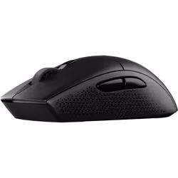 Corsair M55 souris Jouer Droitier RF Wireless + Bluetooth + USB Type-A Optique 24000 DPI