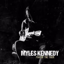 ImportCDs Year of the Tiger, Pop rock, CD, Support physique, Adulte, 1 disques, 08/03/2018