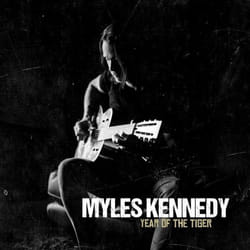 ImportCDs Year of the Tiger CD Pop rock