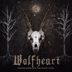 ImportCDs Constellation of The Black Light, Heavy metal, CD, Support physique, Adulte, 1 disques, 27/09/2018