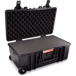 AmazonBasics WXD0582WD étui et housse d’appareils photo Boîtier rigide Noir
