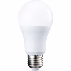 AmazonBasics 929001365505 ampoule LED Blanc chaud 2700 K 10,5 W E27 F